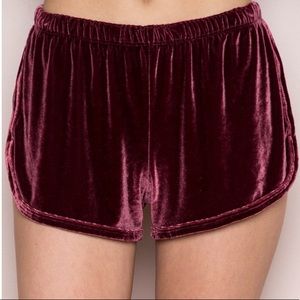 NWT Brandy Melville Velvet Shorts
